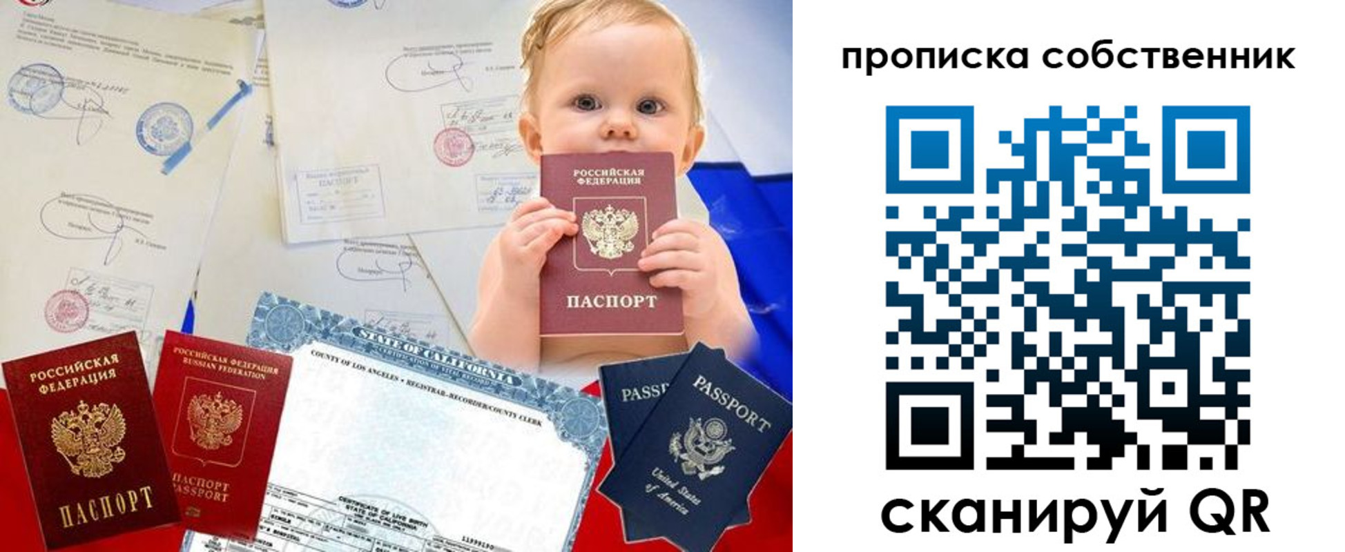 прописка гарантия в Москве
